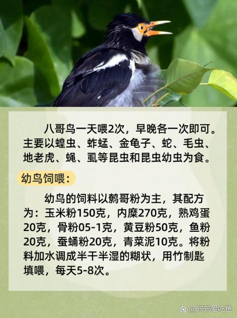 星空影院在线观看免费观看电视的相关介绍