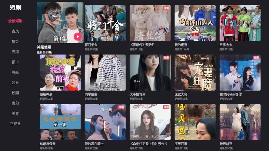国产 欧美 一区二区三区的相关介绍