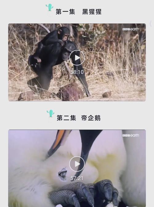 意大利av的相关介绍