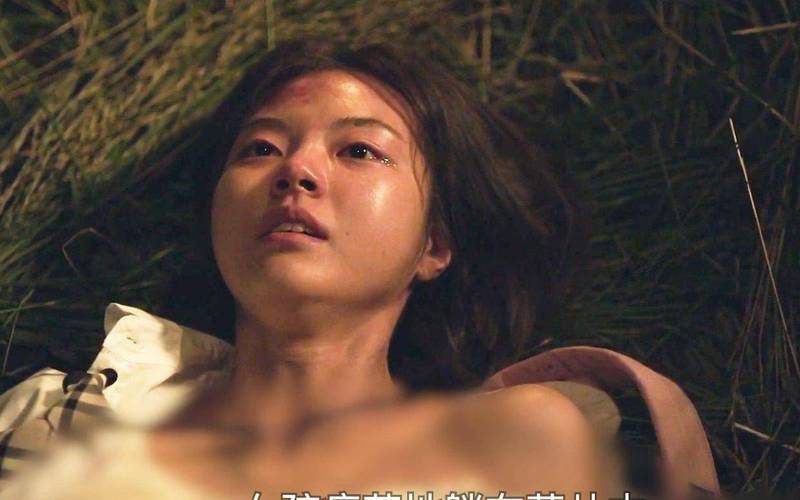 天狼影院2017手机观看轻佻寡妇的相关介绍