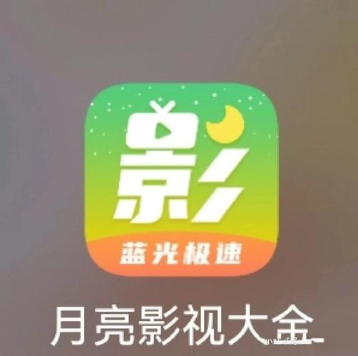 饭团影院app下载的相关介绍