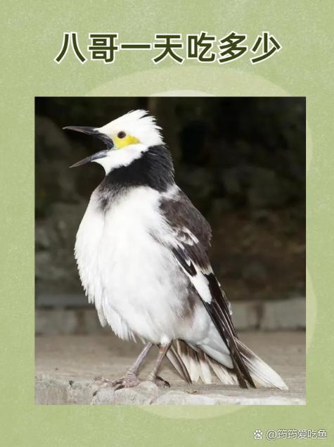 操少妇老师的相关介绍