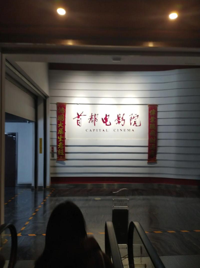 99国产精品久久不卡毛片的相关介绍