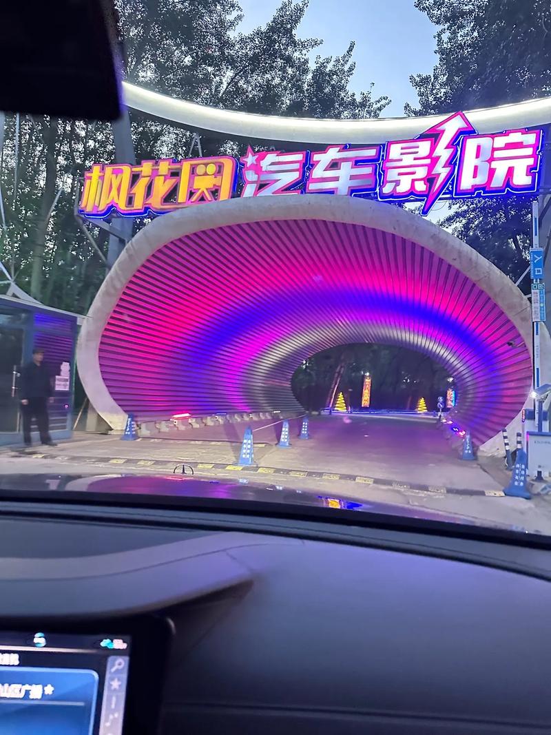 5d影院的相关介绍