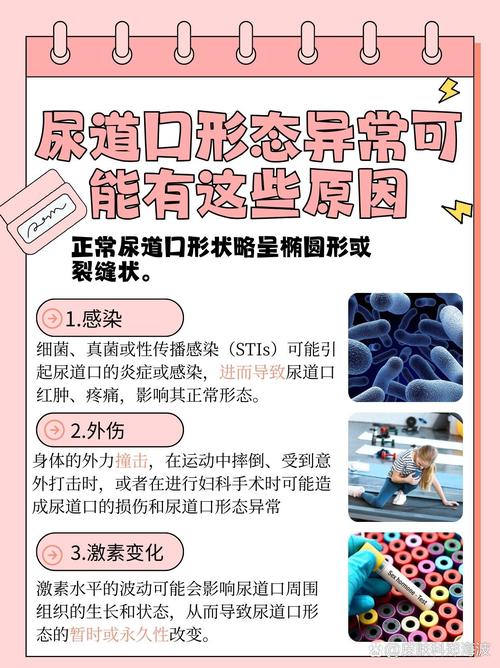 龙岩电影院的相关介绍