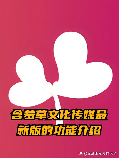 啊啊啊视频app下载的相关介绍