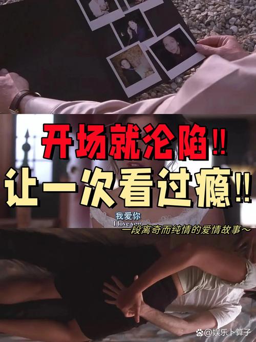 欧美aa级一区二区的相关介绍