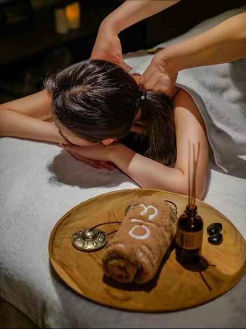 美女老师的爱的相关介绍