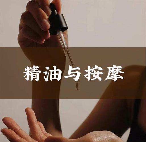 被哥哥摸到高潮小说的相关介绍