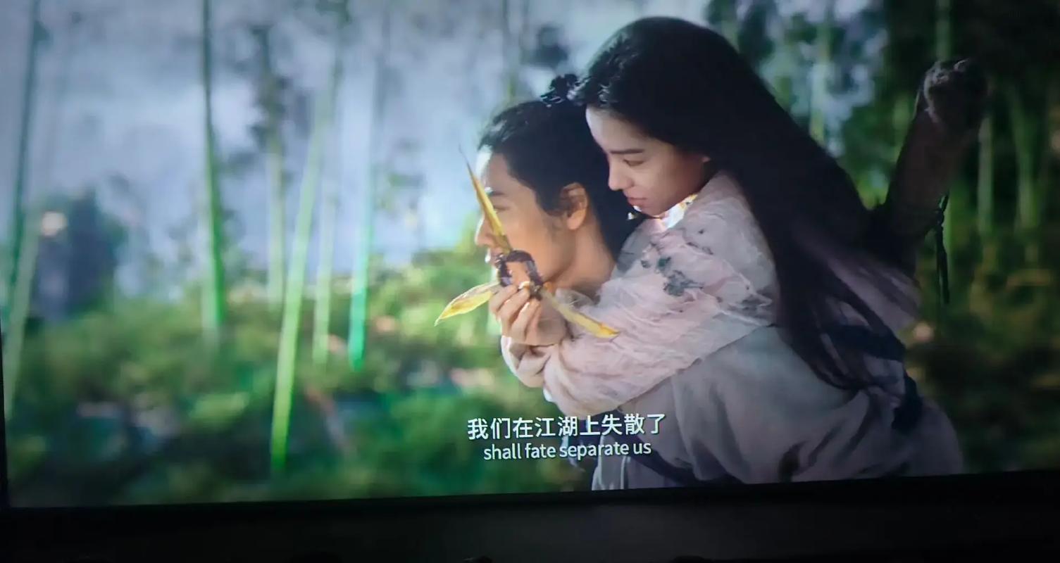 老湿影院视费x看免百的相关介绍