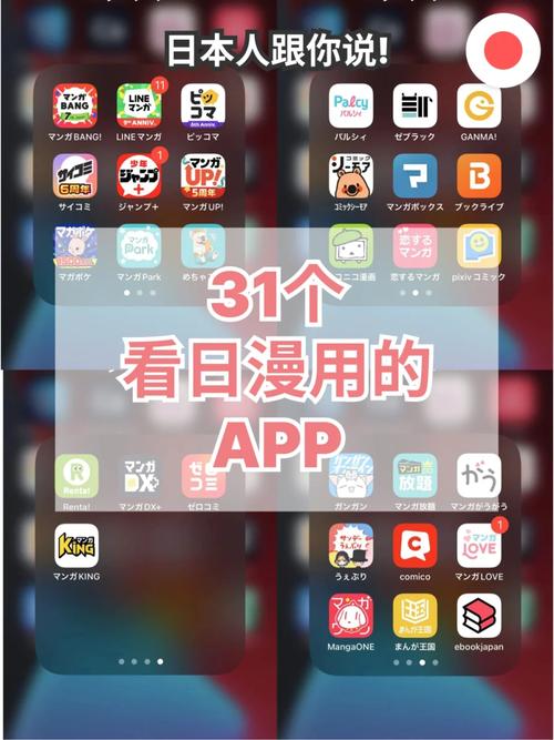寡妇影院的相关介绍