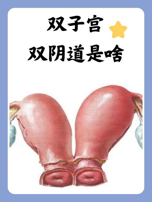 迅雷哥电影院的相关介绍