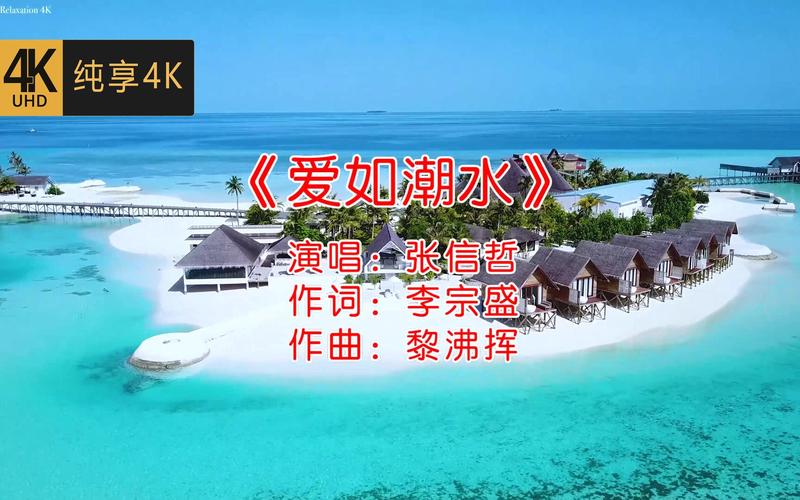 午夜理论影院第九电影院的相关介绍