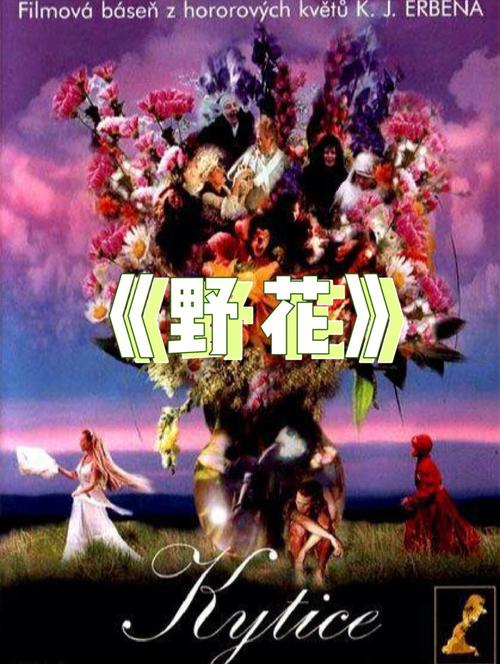 国产a毛片久久久精品的相关介绍