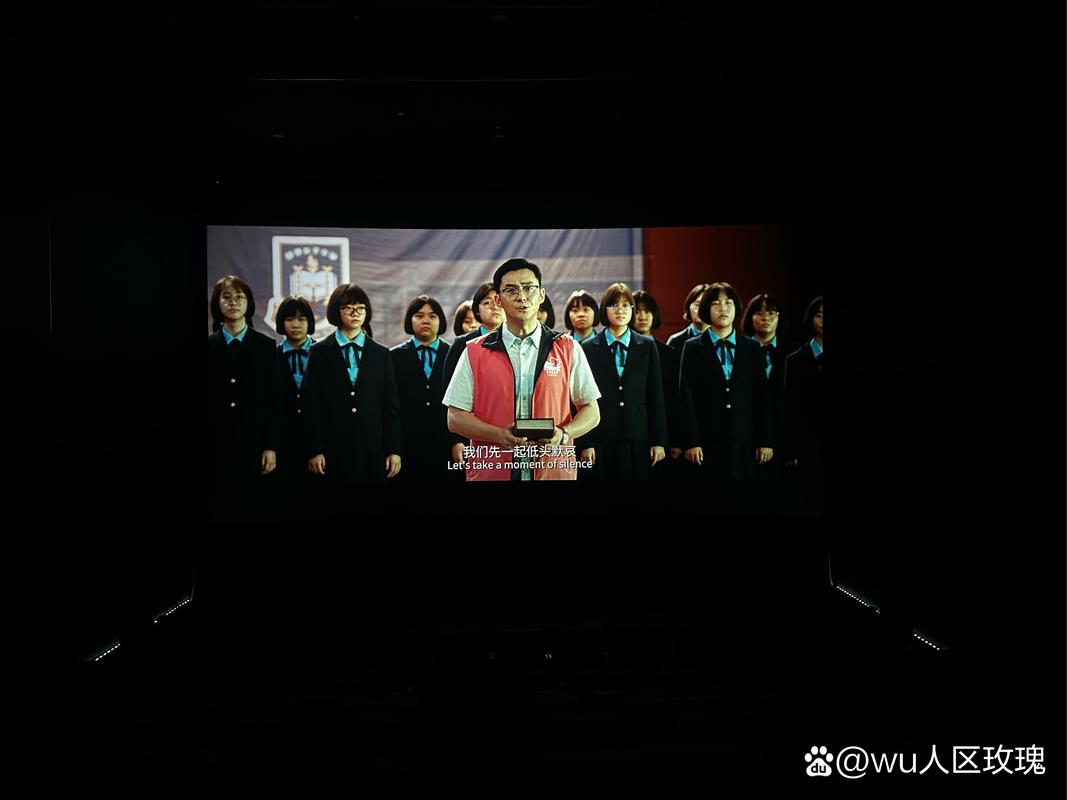 免费视频下载app的相关介绍