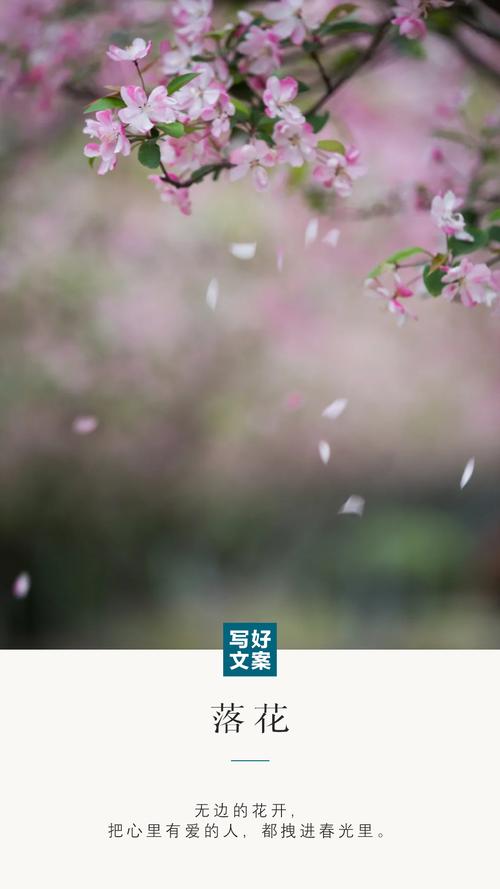 av熟妇av的相关介绍