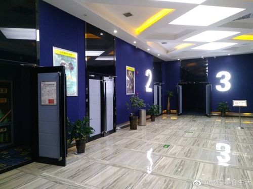 纯少女18的相关介绍
