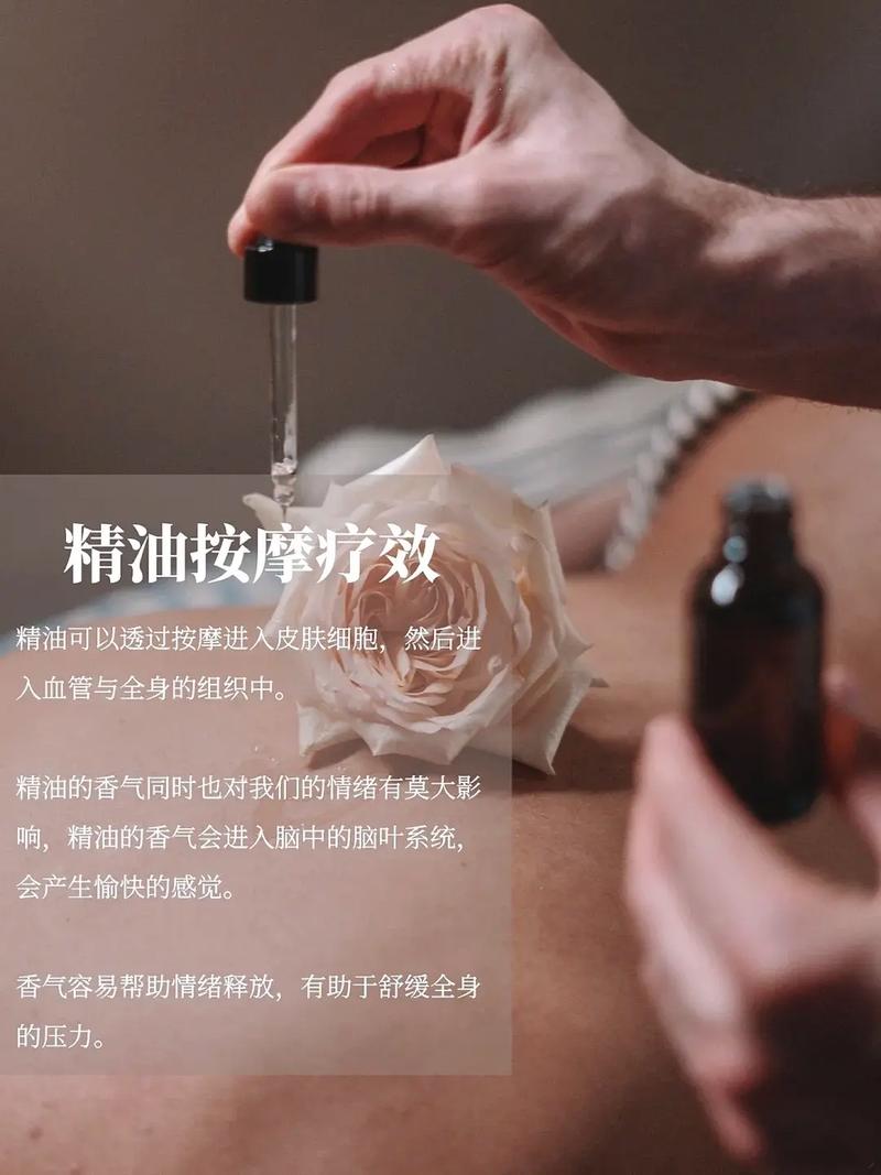 激情辣文高h的相关介绍