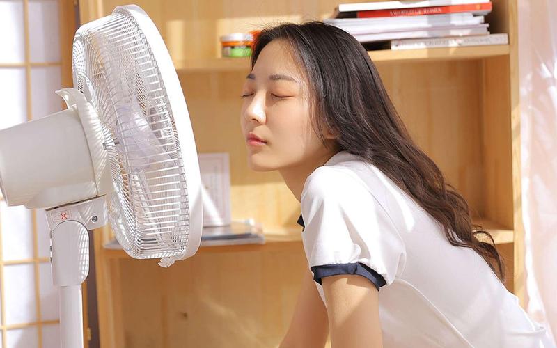 亚洲熟女少妇一区二区三区欧美的相关介绍