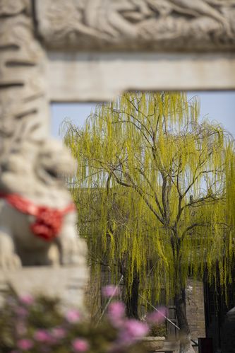 老司机影院手机在线观看免费的相关介绍