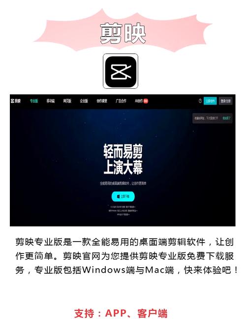 欧美日韩一区二区麻豆的相关介绍