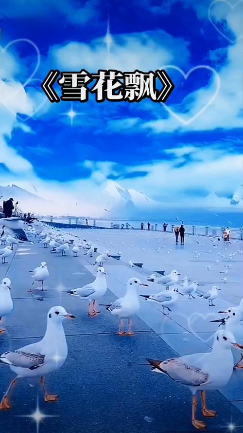 啪啪啪啪啪啪av.的相关介绍