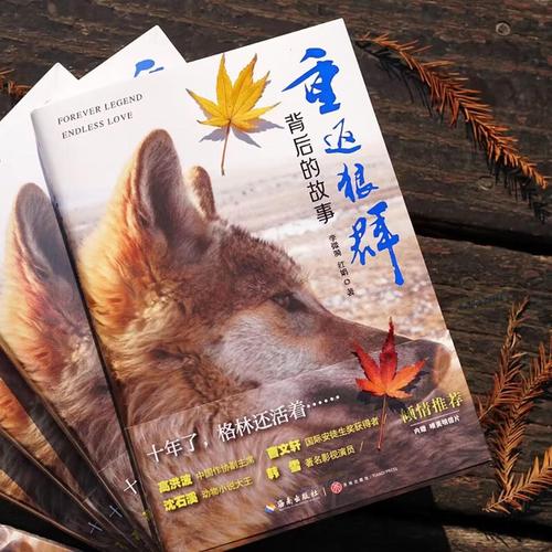 成年人看毛片网站的相关介绍