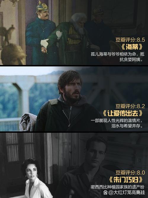 欧美大码熟女一区二区的相关介绍