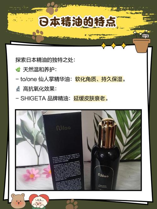 法国伦理片意大利的相关介绍