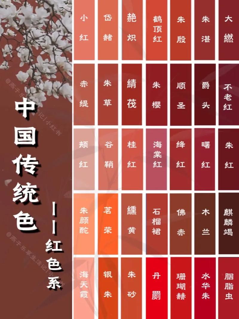 成年人视频下载app的相关介绍