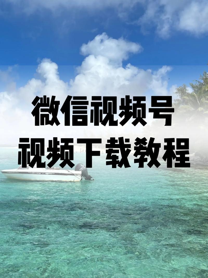 少妇av一区的相关介绍