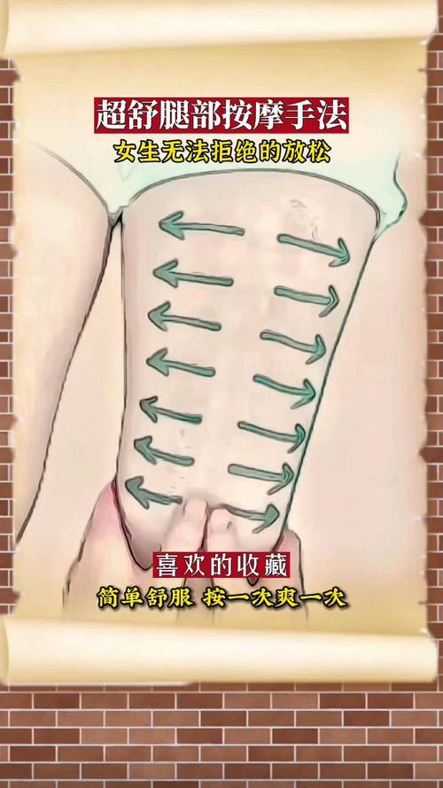 老湿影院视费动漫的相关介绍