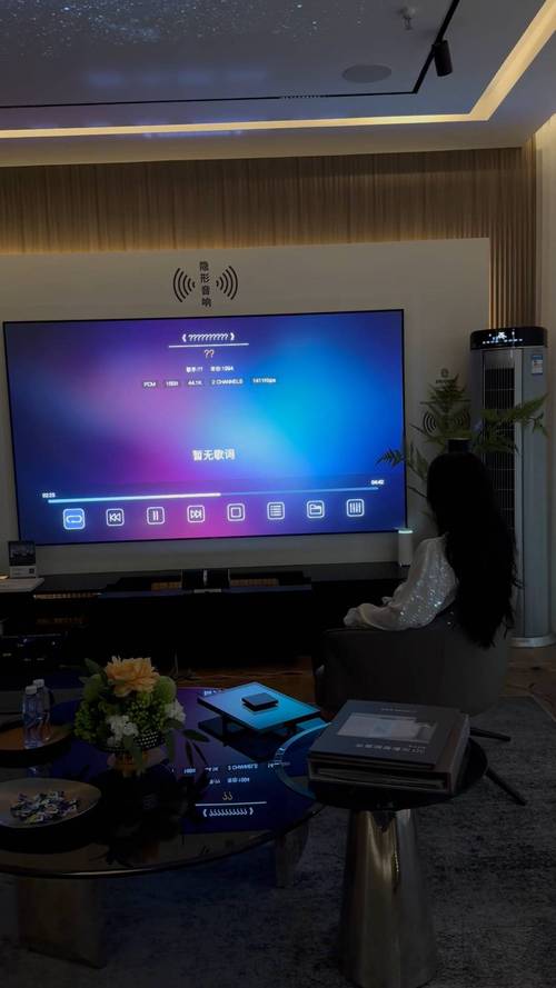 懒人影院的相关介绍