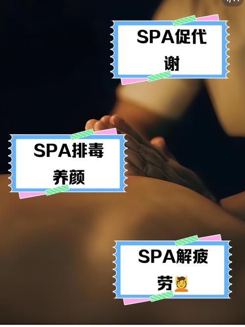 日本波多在线的相关介绍