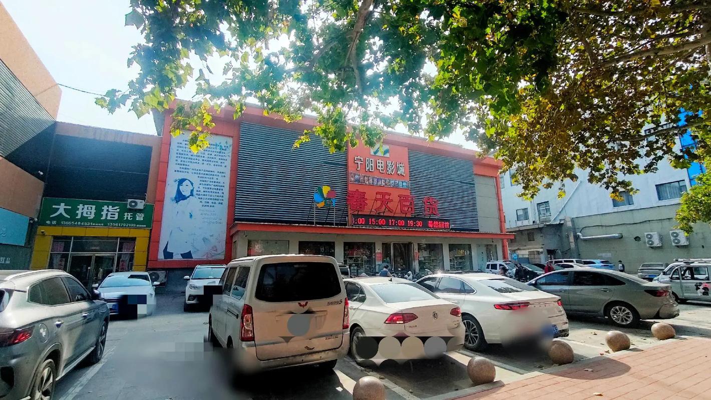 4480影院青苹果影院手机版的相关介绍