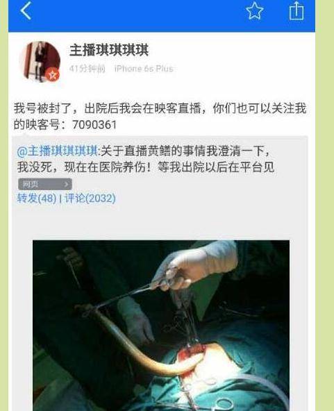 日本精油spa的相关介绍