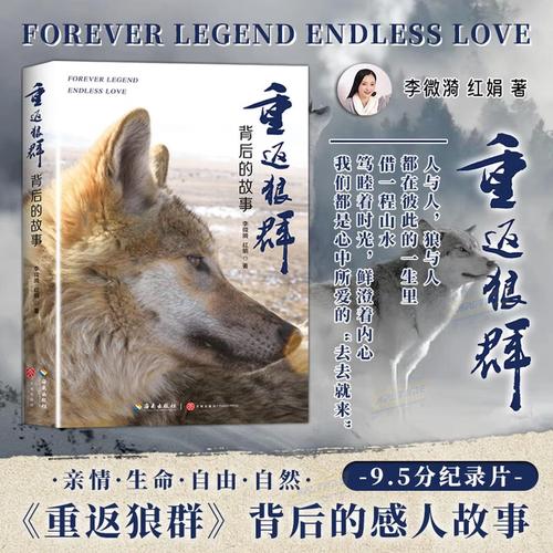 美女很黄很色国产av的相关介绍