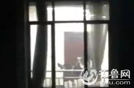 神马影院在线老子的相关介绍