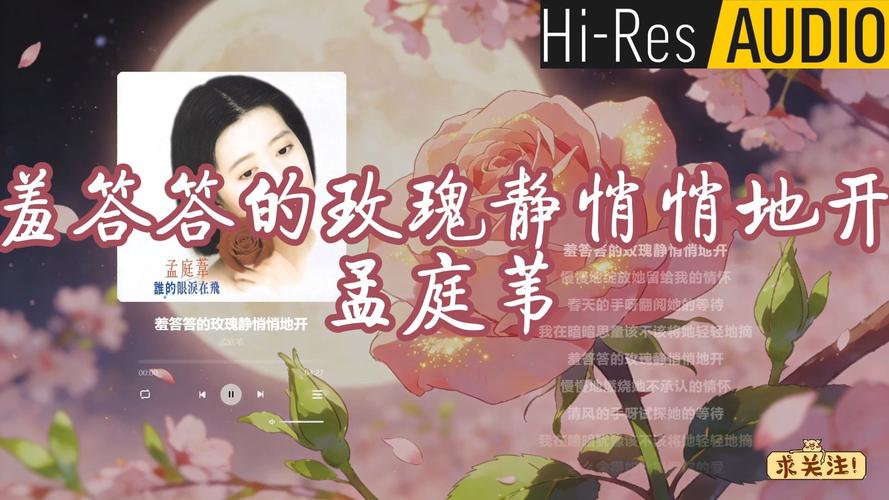 亚洲一区二区va在线观看的相关介绍