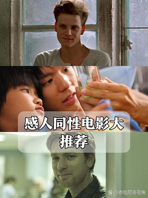 柴犬一片一片的掉毛的相关介绍
