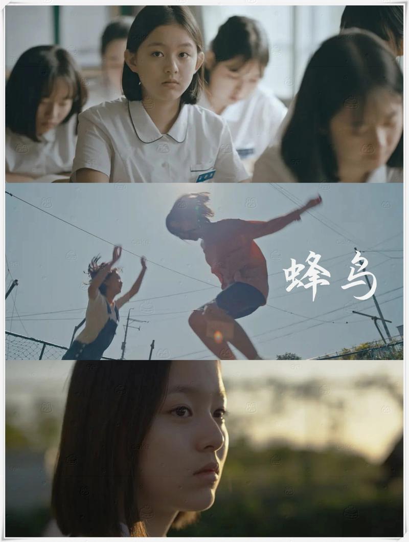 男女动漫互操的相关介绍