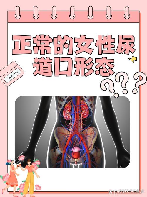 2017影院最新伦理片的相关介绍